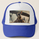 Buscar cielo gorras Avión