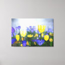 Buscar planos lienzos Oro