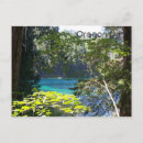 Buscar transparentes postales Fotografía