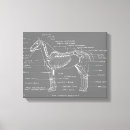 Buscar anatomía del caballo arte Equino