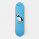 Buscar ártico tablas de skate General y unisex