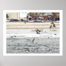 Buscar pelícano marrón posters Animales