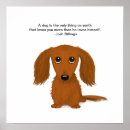 Buscar dachshund lindo posters Perro