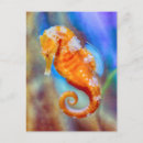 Buscar seahorse postales Animal marino