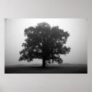 Buscar refugio posters Fotografía