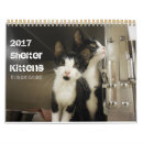 Buscar gatitos calendarios Gatos