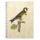 Buscar animales domésticos cuadernos Pájaro