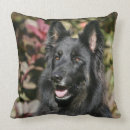 Buscar pelo negro cojines Perro