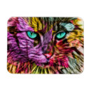 Buscar ojos de gato imanes 9 º gata