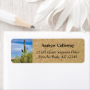 Buscar fondo verde claro postales Naturaleza