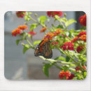 Buscar mariposa roja alfombrillas de raton Naturaleza