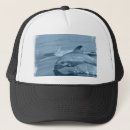 Buscar vida acuática gorras Delfín