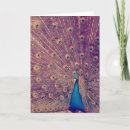 Buscar pavo real tarjetas Colorido