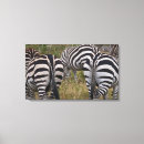 Buscar cebra arte África