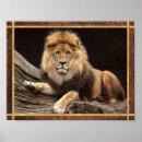 Buscar león majestuoso posters Gato salvaje