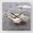 Buscar birds relojes de pared White