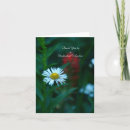 Buscar organización tarjetas Flor