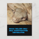 Buscar boa postales Animales