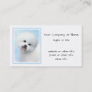 Buscar bichon tarjetas de visita Perro