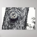 Buscar ardilla negra posters Para todos