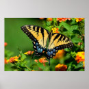 Buscar background arte Insect