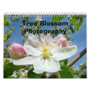 Buscar floraciones calendarios Naturaleza