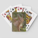 Buscar ardillas barajas de cartas Lindo