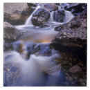 Buscar cascada azulejos Arroyo