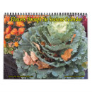 Buscar estación calendarios Fotografía