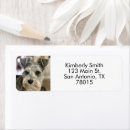 Buscar amante del schnauzer postales General y unisex