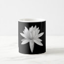 Buscar nenúfares tazas Floral