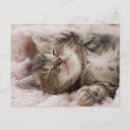 Buscar suavidad postales Gatito