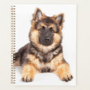 Buscar raza agendas Cachorro