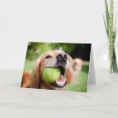 Buscar pelota de tenis tarjetas Cachorro
