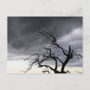 Buscar desastres naturales postales Tormenta