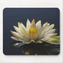 Buscar lilly alfombrillas de raton Flores