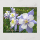 Buscar columbine postales Estado
