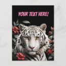 Buscar tigres blancos postales Para ella