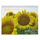 Buscar girasoles calendarios Soleado