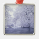 Buscar louisville kentucky adornos Naturaleza