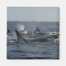 Buscar dorsal imanes Mar