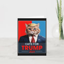Buscar voto tarjetas América