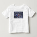 Buscar engelbrecht camisetas Lectura