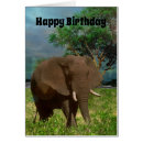 Buscar toros tarjetas Animal