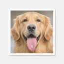 Buscar golden retriever servilletas Perro