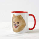 Buscar perro pomeranian tazas Animales
