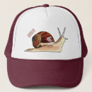 Buscar caracol gorras 7 º concha