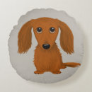 Buscar de pelo largo cojines Dachshund