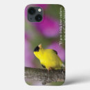 Buscar citas ipad fundas Citas del pájaro
