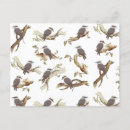 Buscar laughing postales Kookaburra